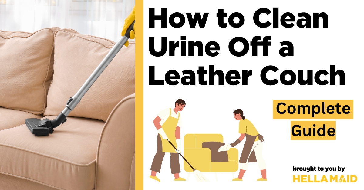 An application scenario or product detail of leather couch cleaning service - Image 17