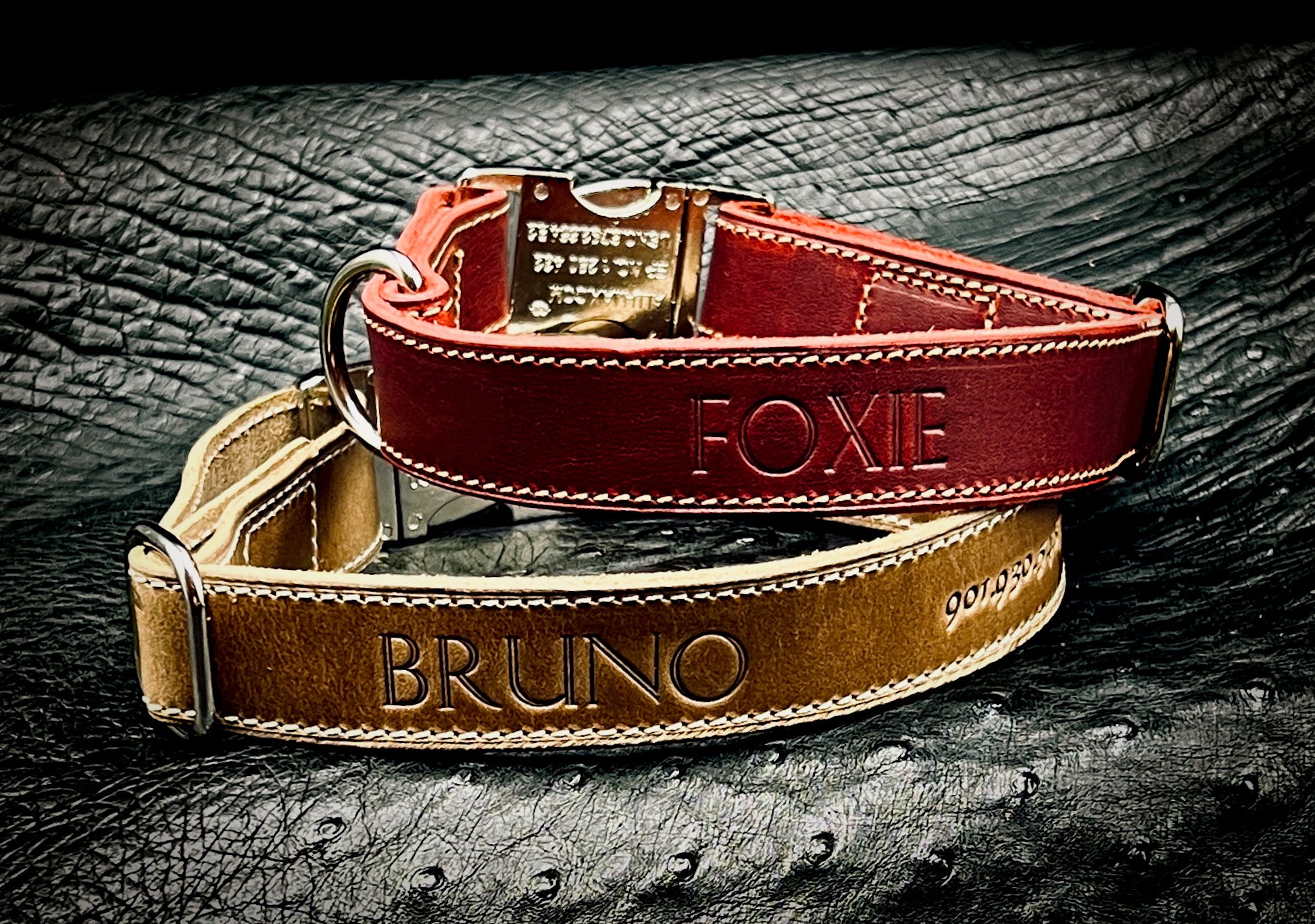 Featured image for the leather dog collars custom made guide