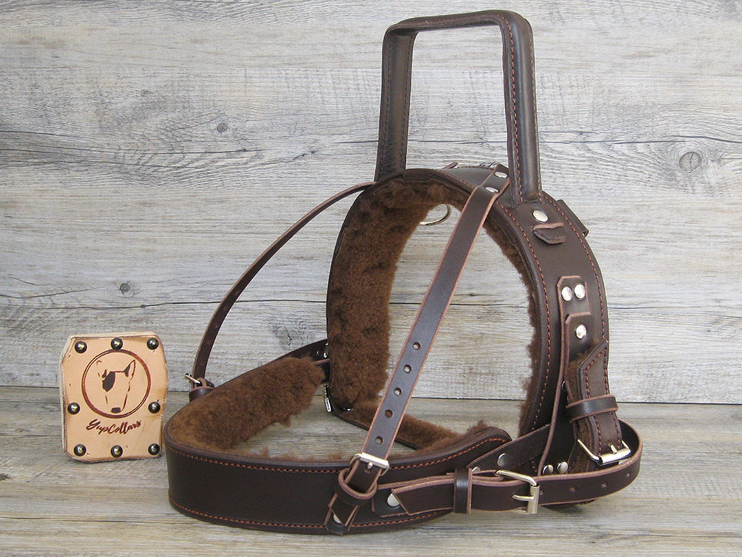 An application scenario or product detail of leather service dog harness - Image 2