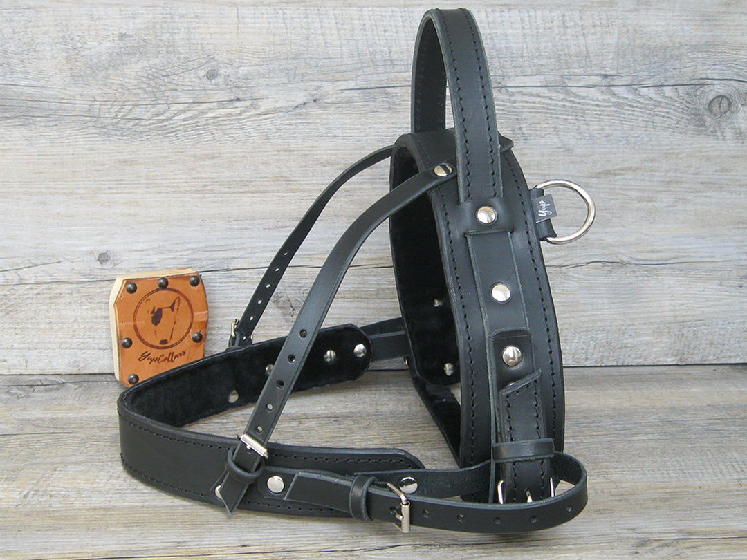 An application scenario or product detail of leather service dog harness - Image 7