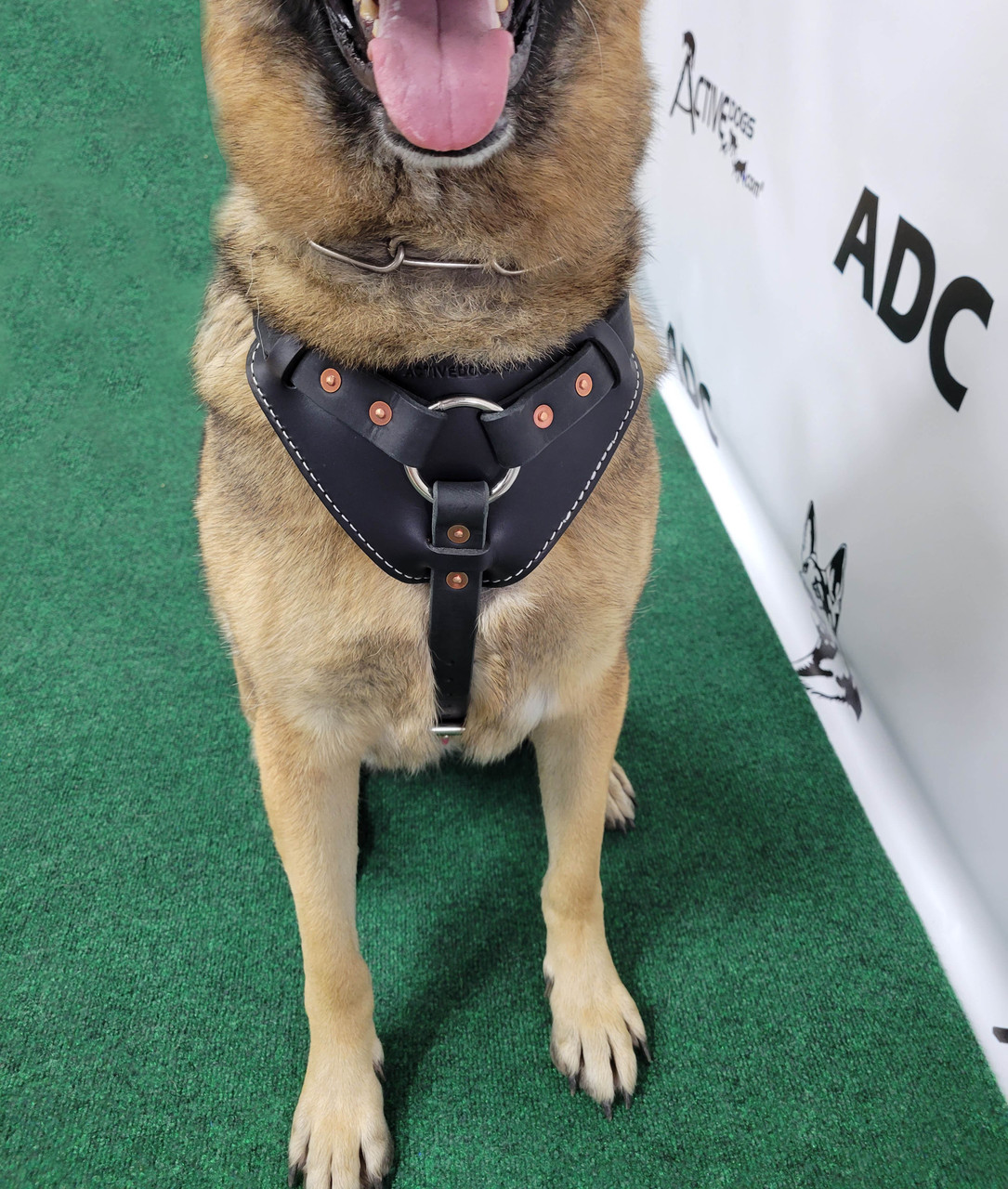 An application scenario or product detail of leather service dog harness - Image 11