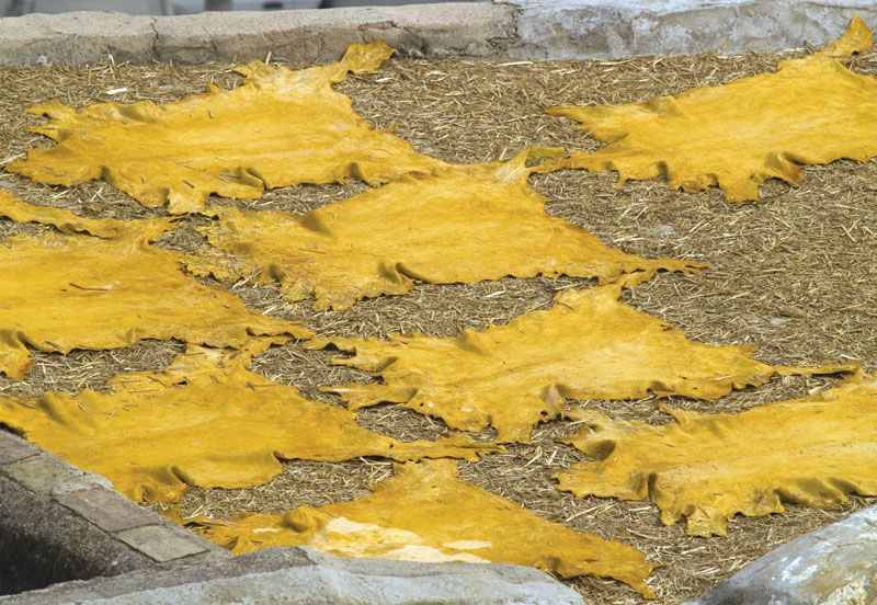 An application scenario or product detail of leather tanning solution - Image 12
