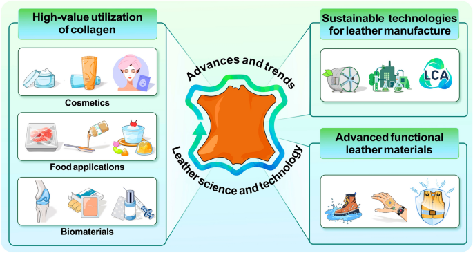 An application scenario or product detail of leather technology - Image 10
