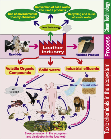 An application scenario or product detail of leather technology - Image 21