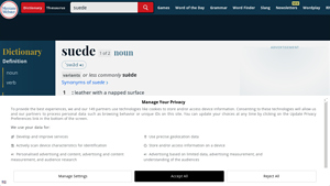 Merriam-Webster - Suede Definition