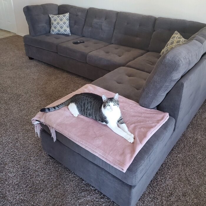 An application scenario or product detail of microfiber microsuede couches - Image 15