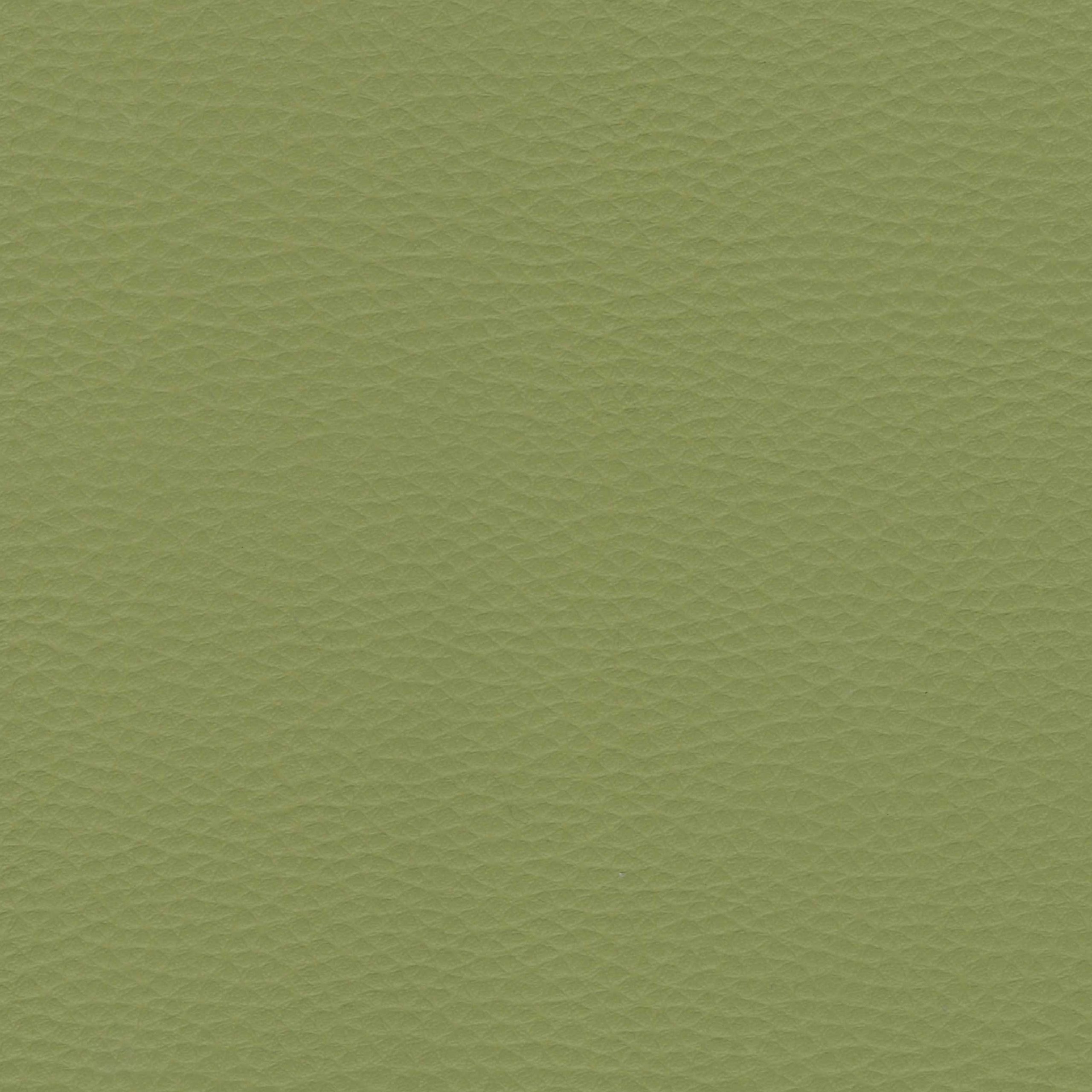 An application scenario or product detail of olive green leather fabric - Image 7