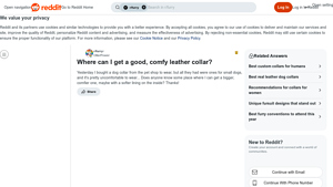 Collar Factory - Comfy Leather Collar