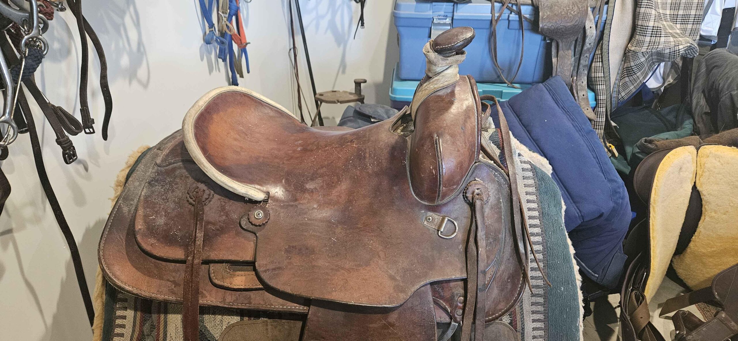 An application scenario or product detail of saddle leather company - Image 15