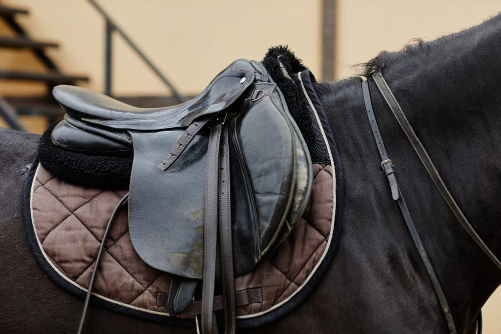 An application scenario or product detail of saddle leather company - Image 17