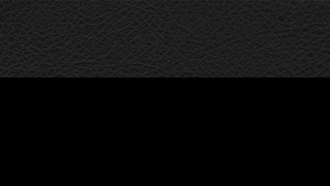 Ace High Leathers - Tank Bibs