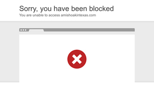 Amish Oakin - Oil Stain Remover Guide