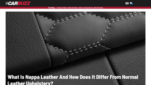 CarBuzz - Nappa Leather Insights