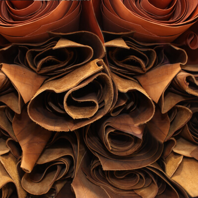 Featured image for the coated leather guide