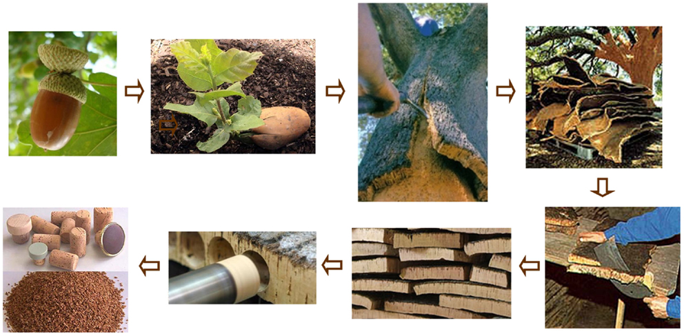 An application scenario or product detail of cork and leather - Image 13