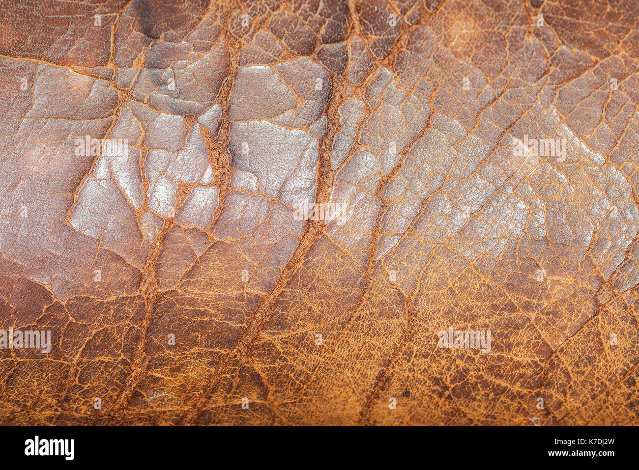 An application scenario or product detail of cracked leather - Image 14