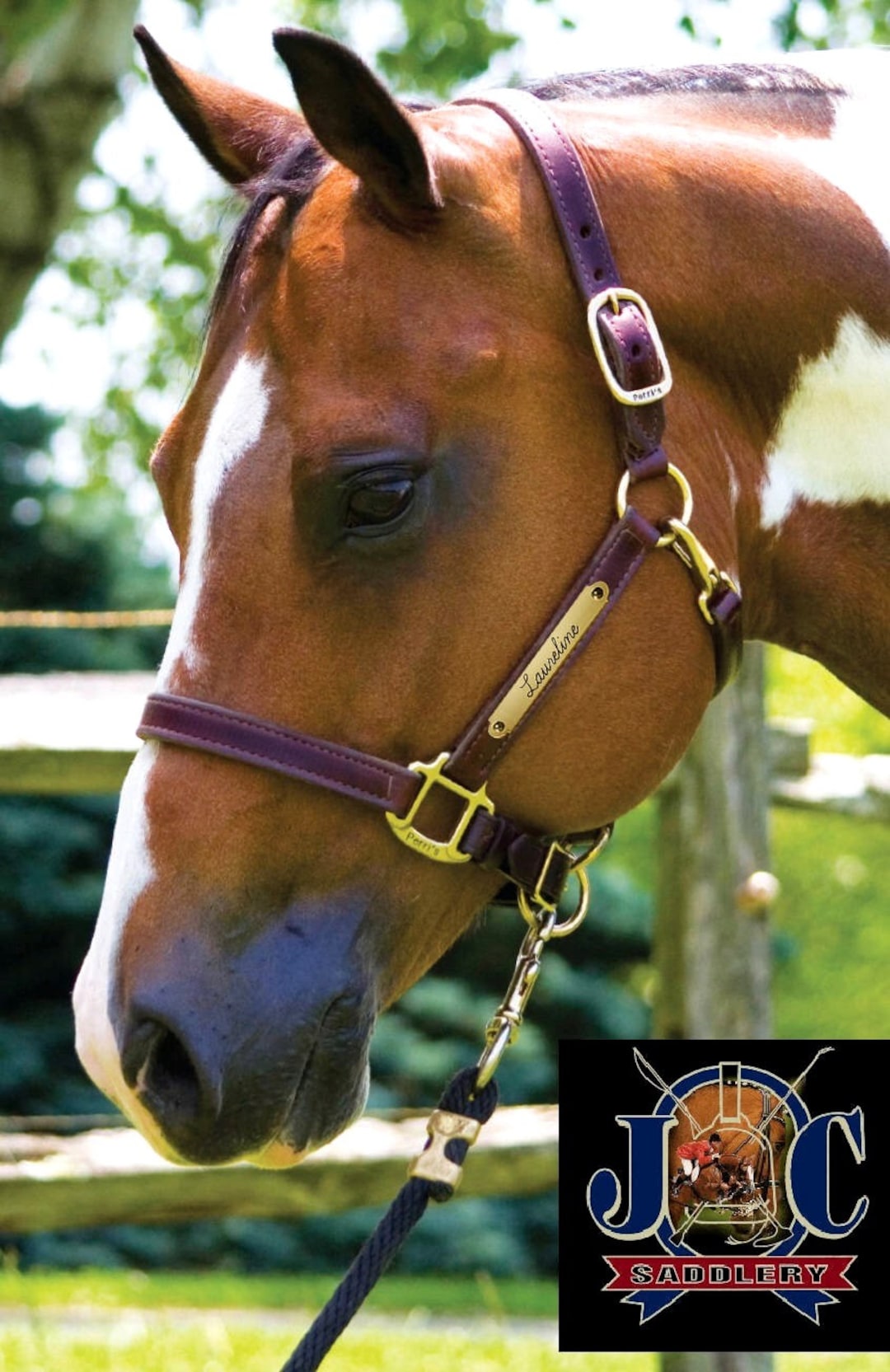 An application scenario or product detail of custom halters for horses leather - Image 5