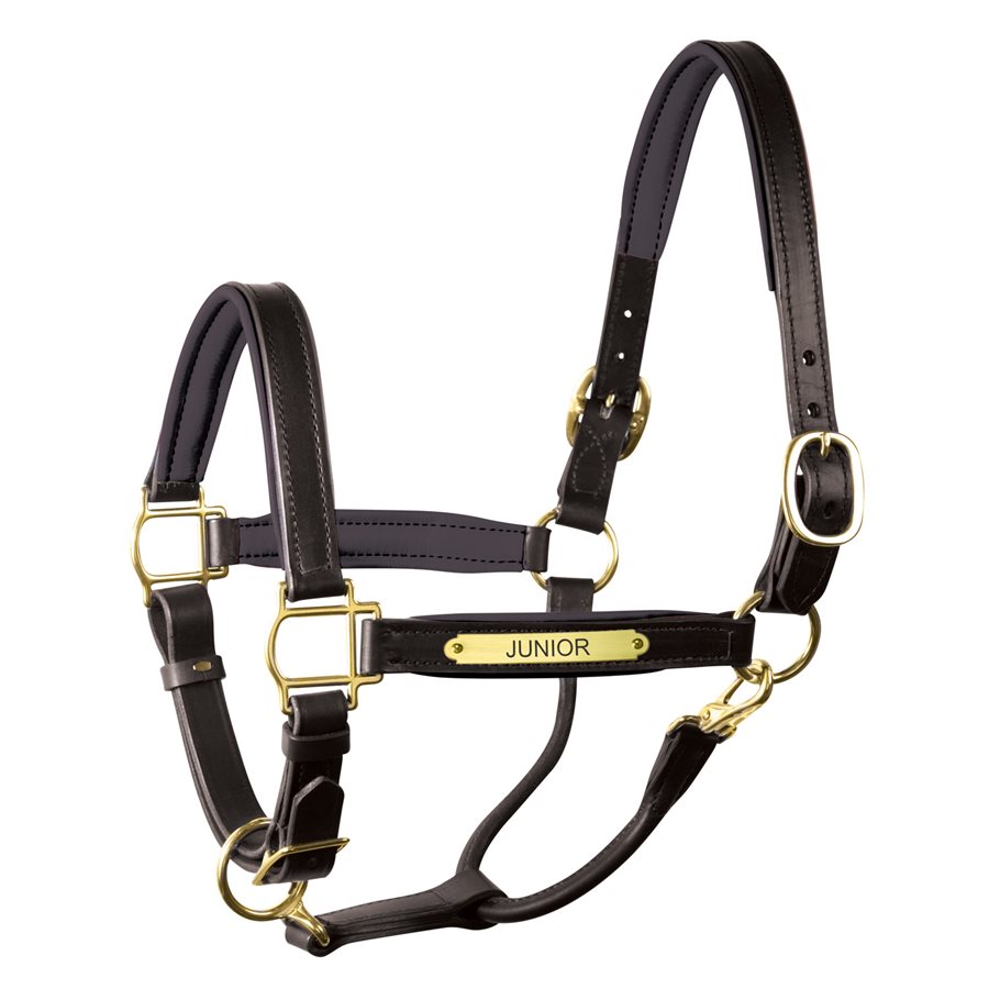 An application scenario or product detail of custom halters for horses leather - Image 8