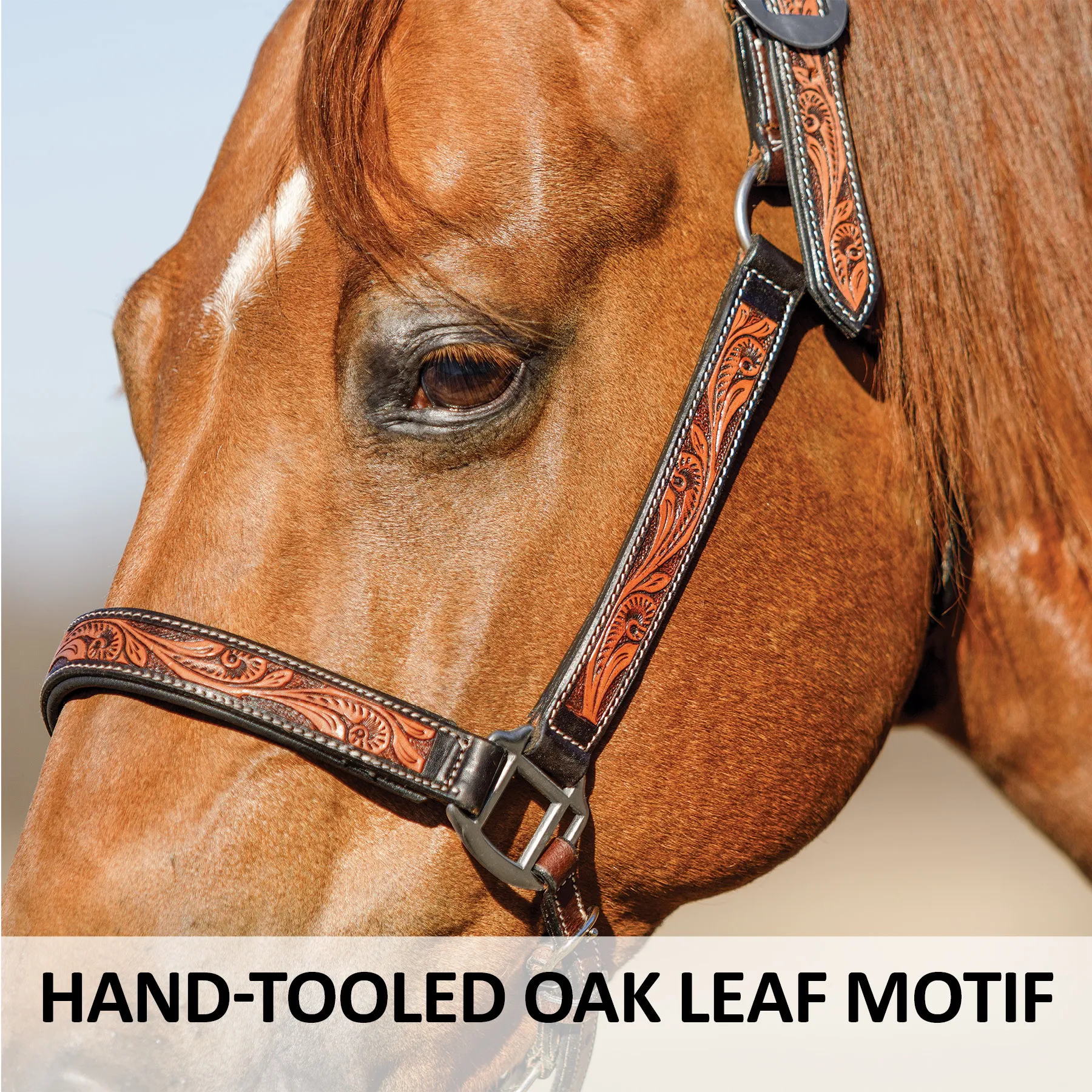 An application scenario or product detail of custom halters for horses leather - Image 20