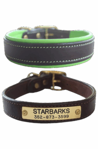 Featured image for the custom leather collars guide