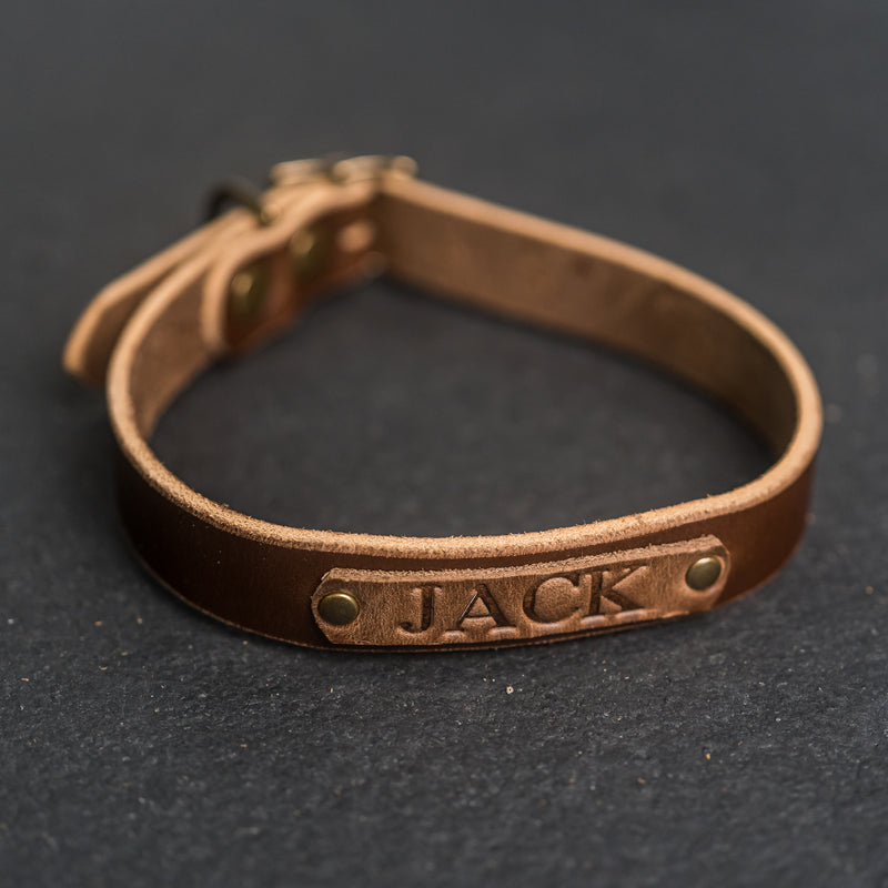 An application scenario or product detail of custom leather dog collars - Image 18