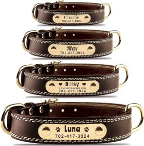 Featured image for the custom leather dog collars guide