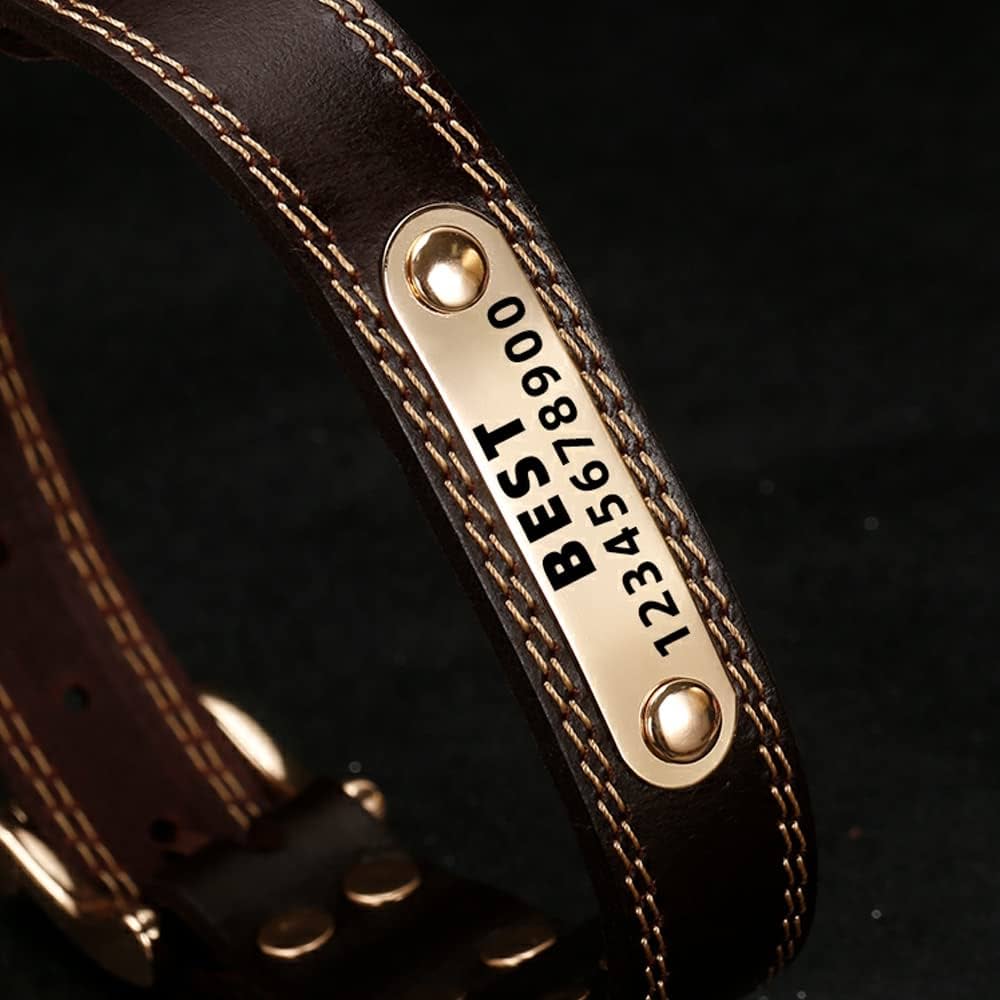 An application scenario or product detail of custom leather dog collars with name - Image 6