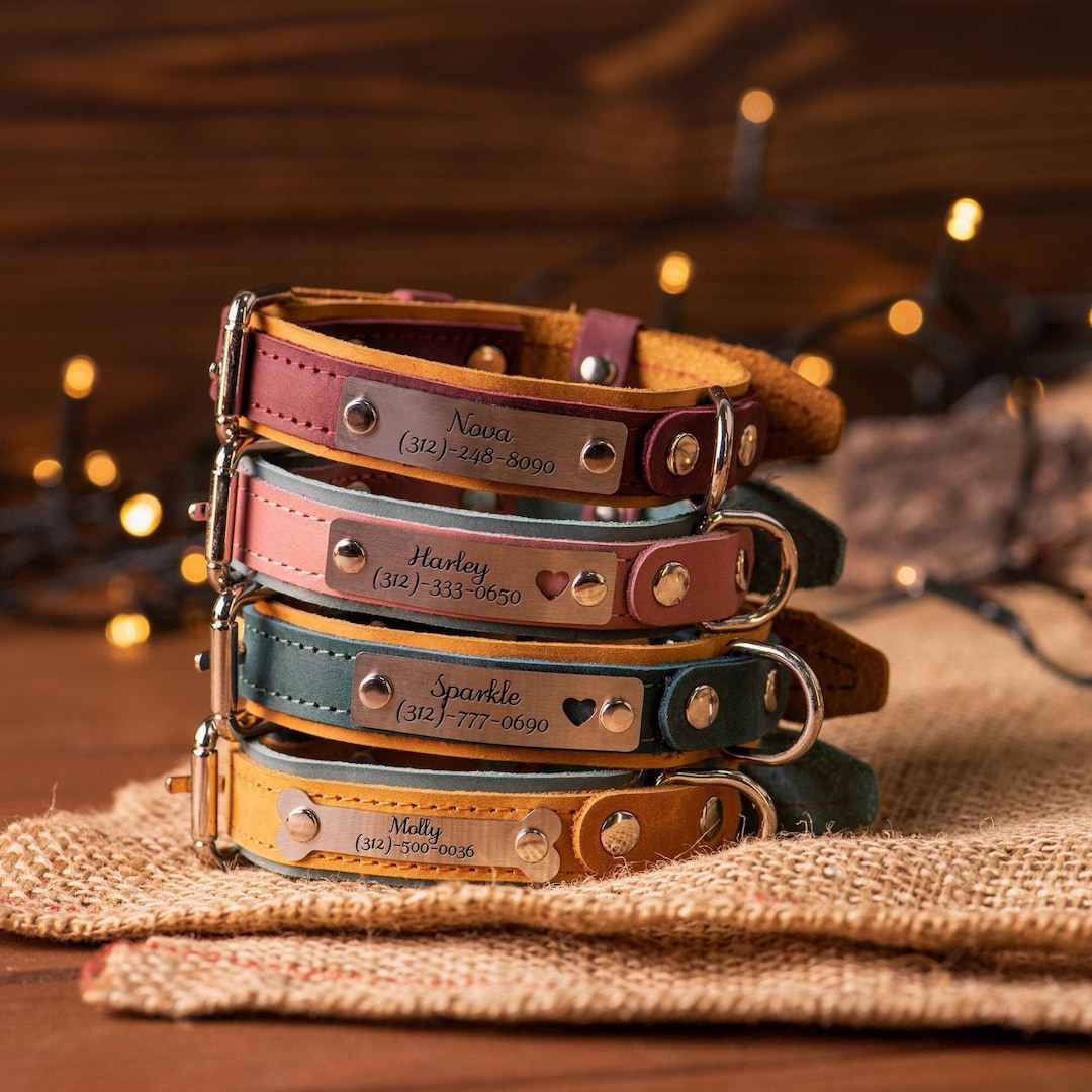 An application scenario or product detail of custom leather dog collars with name - Image 7