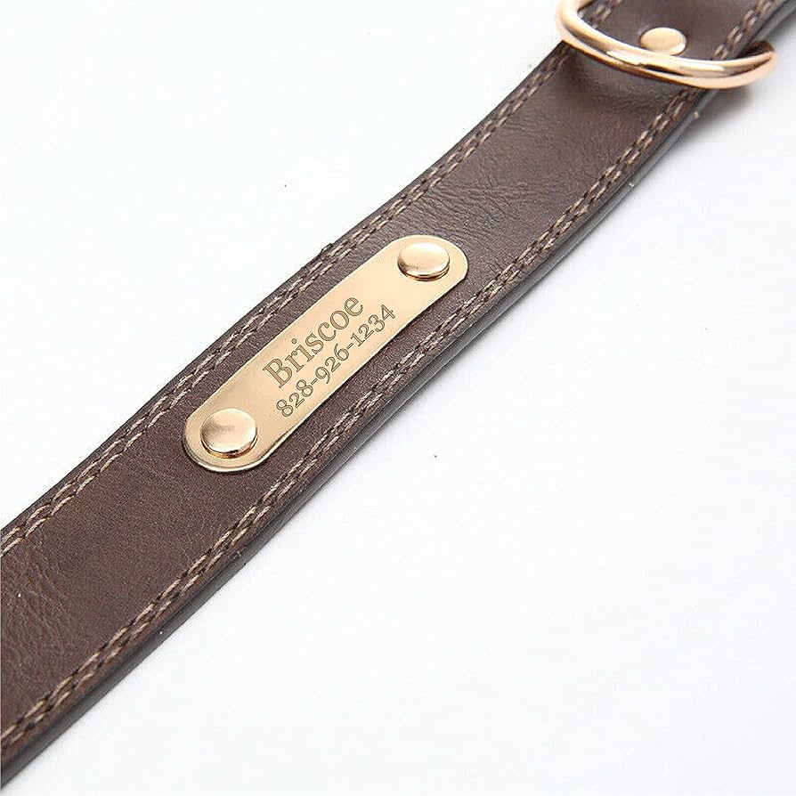 An application scenario or product detail of custom leather dog collars with name - Image 18
