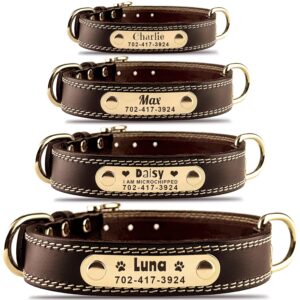 Featured image for the custom leather dog collars with name guide