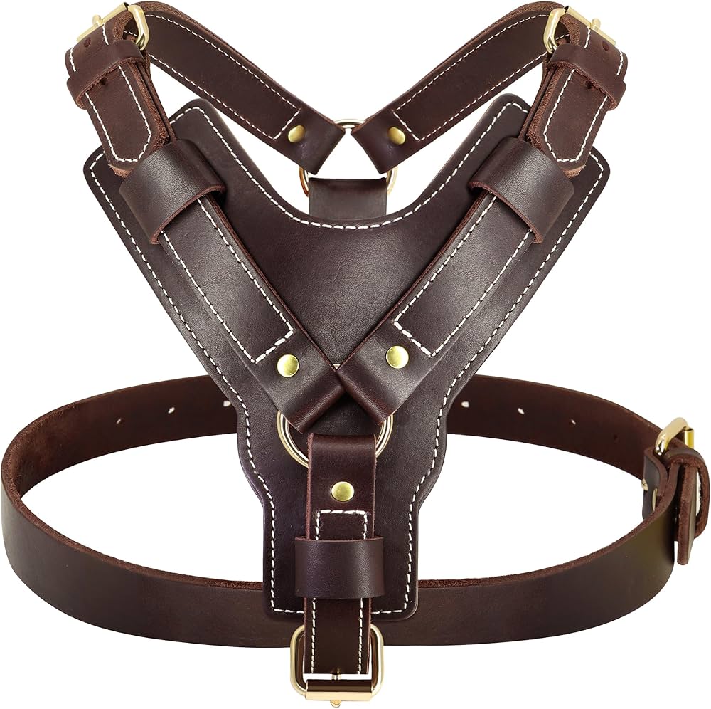 An application scenario or product detail of custom leather dog harness - Image 9