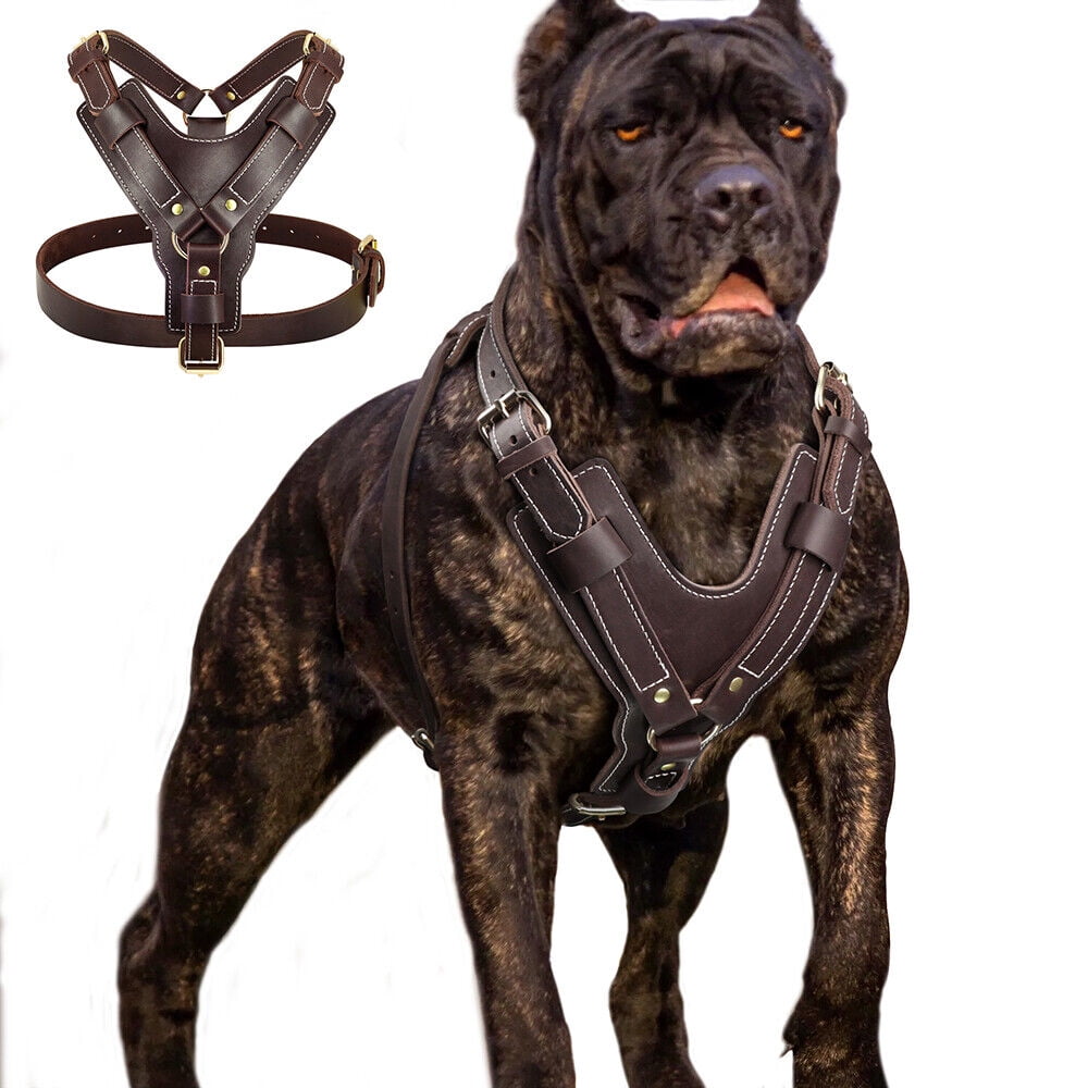 An application scenario or product detail of custom leather dog harness - Image 16