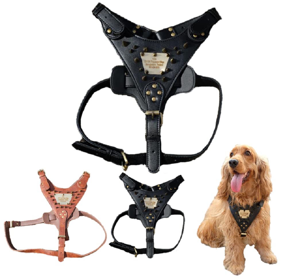 An application scenario or product detail of custom leather dog harness - Image 23