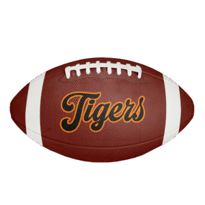 Featured image for the custom leather footballs guide