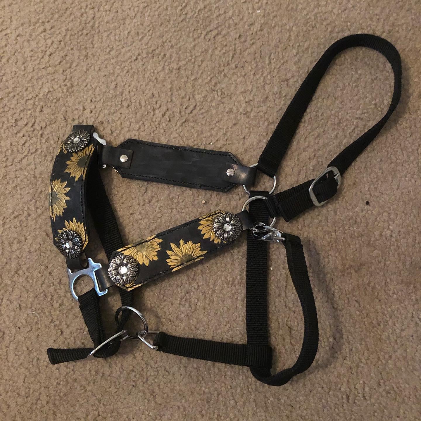 An application scenario or product detail of custom leather halters - Image 21