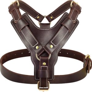 Featured image for the custom made leather dog harness guide