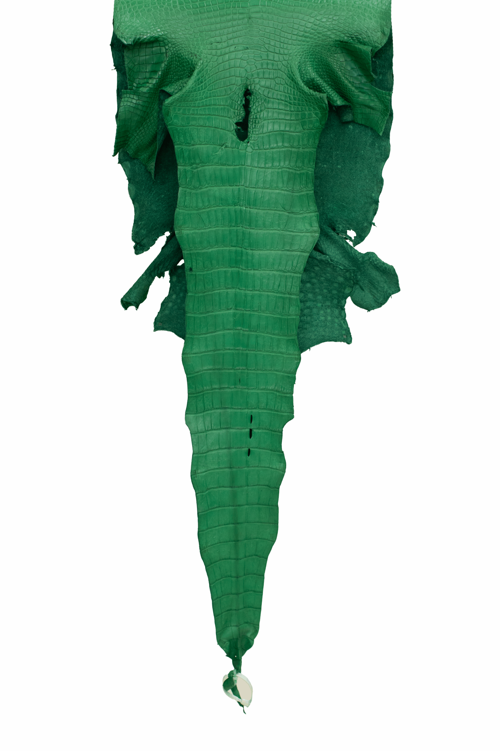 An application scenario or product detail of exotic leather wholesale - Image 17