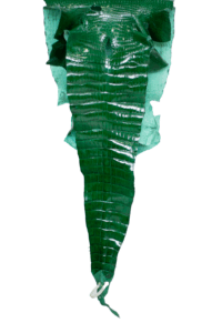 Featured image for the exotic leather wholesale guide