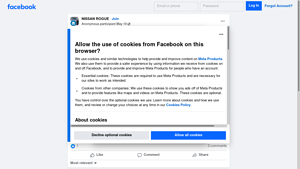 Facebook - Black Alcantara Headliner