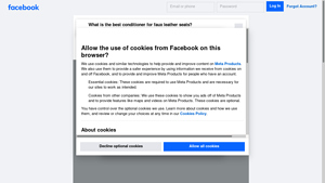 Woolite - Cleaning Solution