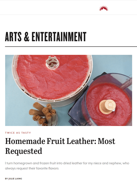 An application scenario or product detail of how do you make fruit leather - Image 13