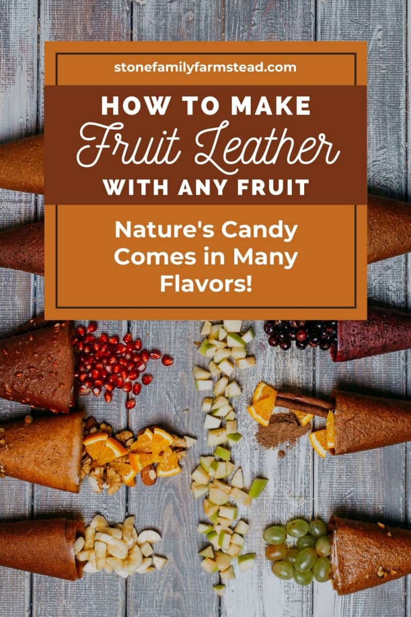 An application scenario or product detail of how to make fruit leather - Image 21