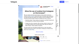 Instagram - Scraping Services