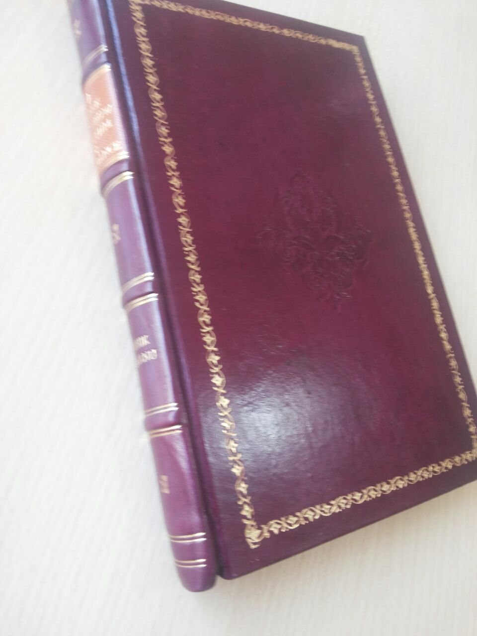 An application scenario or product detail of leather binding services - Image 9