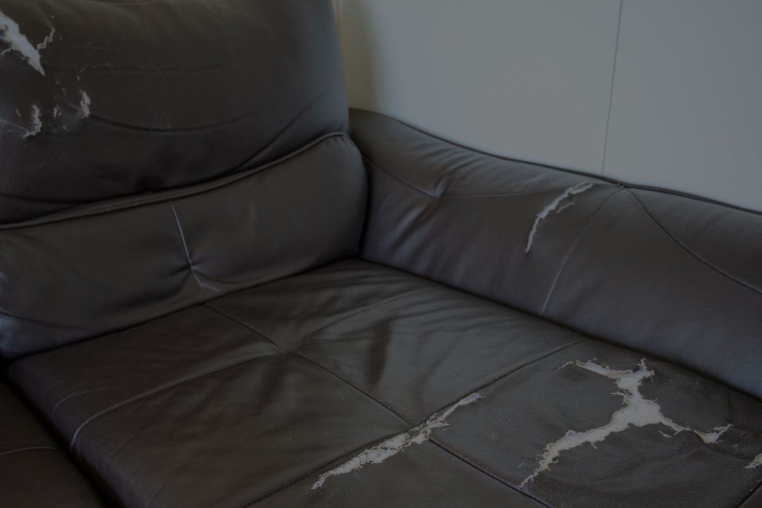 An application scenario or product detail of leather couch repair service - Image 21