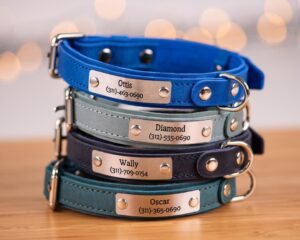 An application scenario or product detail of leather dog collars custom made - Image 2