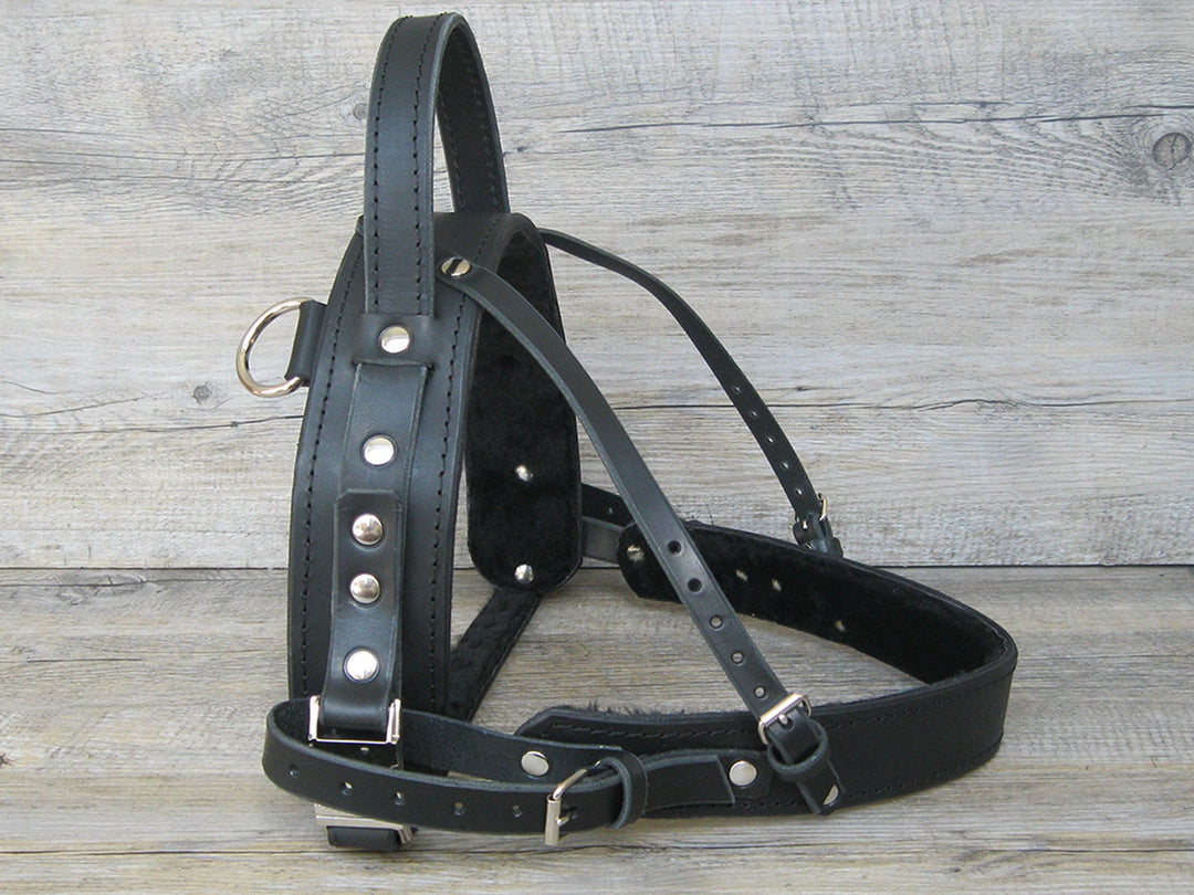 An application scenario or product detail of leather service dog harness - Image 4