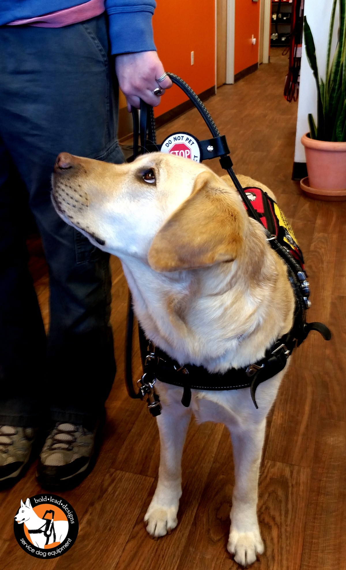 An application scenario or product detail of leather service dog harness - Image 9