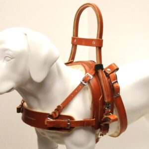 Featured image for the leather service dog harness guide