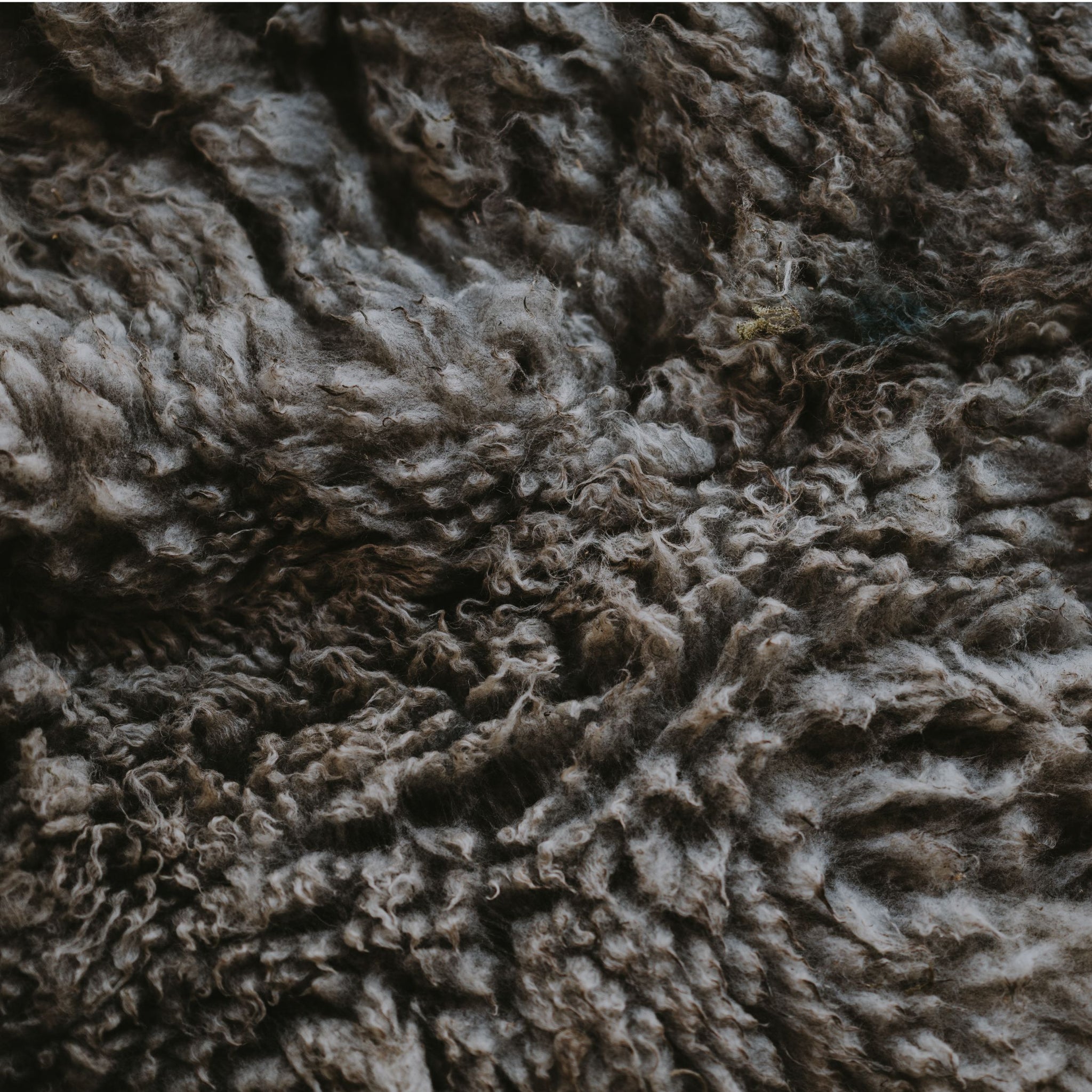 An application scenario or product detail of lining of shoes - Image 23